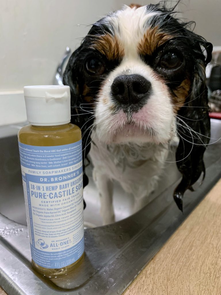 Dr bronner's hotsell soap on dogs