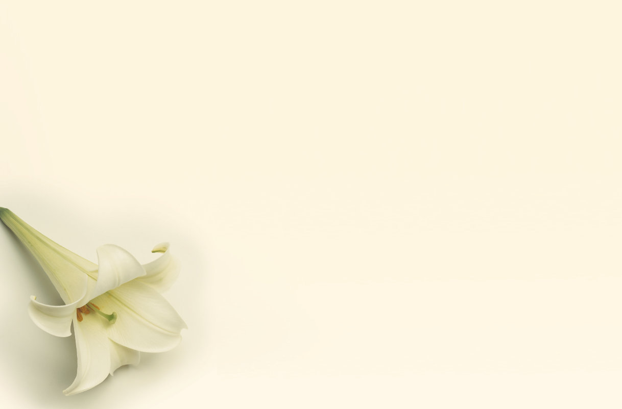 easter lily powerpoint background
